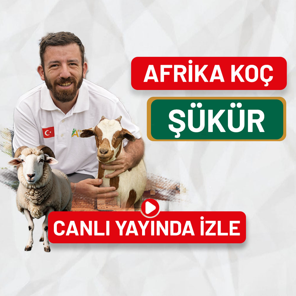 Şükür Kurbanı Koç