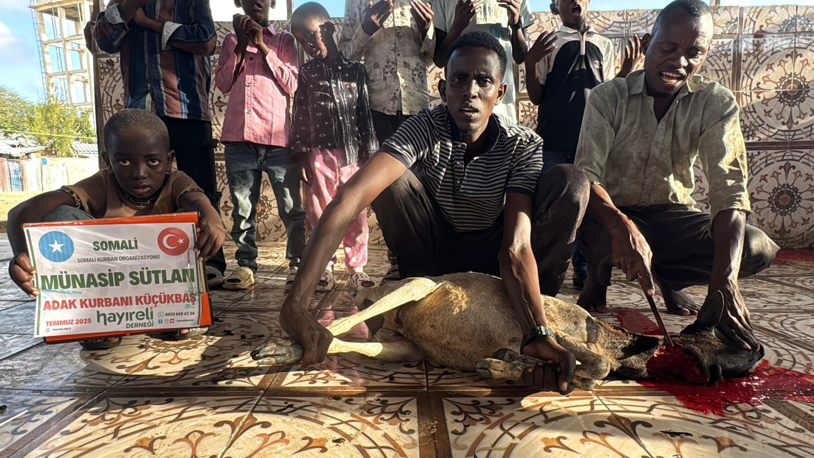 Adak, akika ve şükür kurbanı görseli
